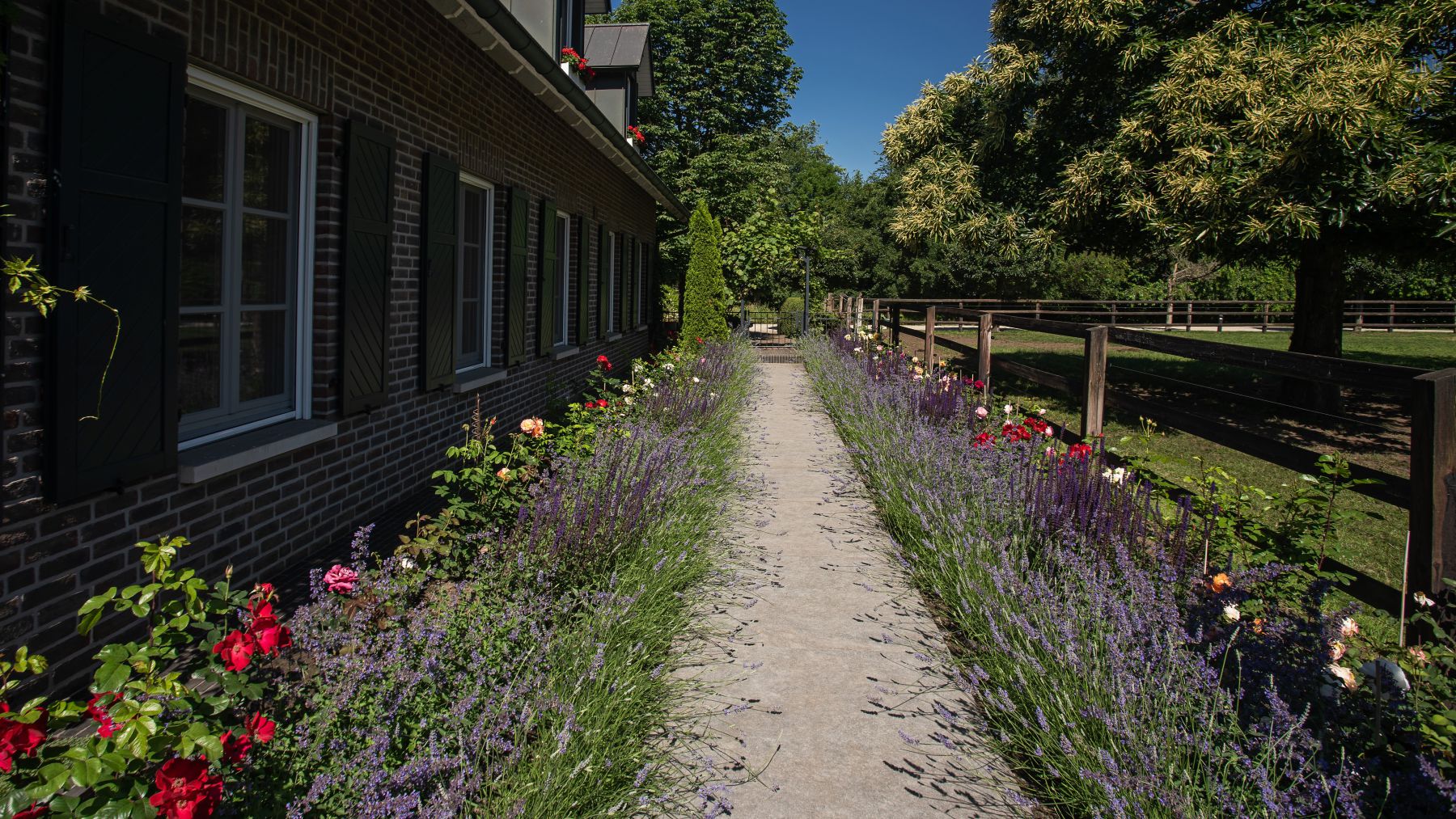 2.3 Harmonischer Landhausgarten - ein Rückzugsort mitten in der Natur in Barlo