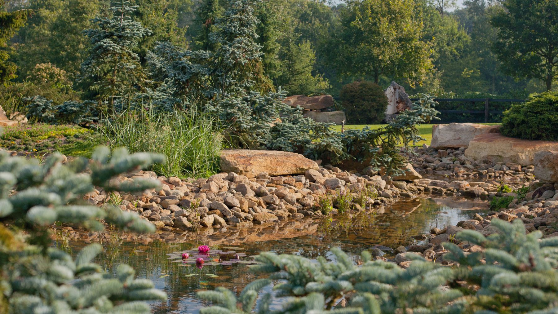 2.8 Der Traum von der Ferne wird Wirklichkeit - Prärie-Landschaftsgarten in Varsseveld (NL)